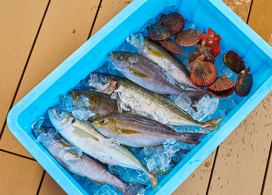 志摩の海鮮コースイメージ